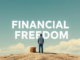 Secret Blueprint to Financial Freedom